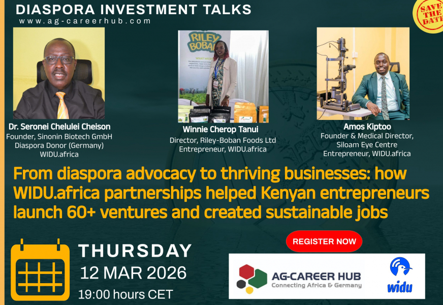 260311_WIDUafrica_DiasporaImpact